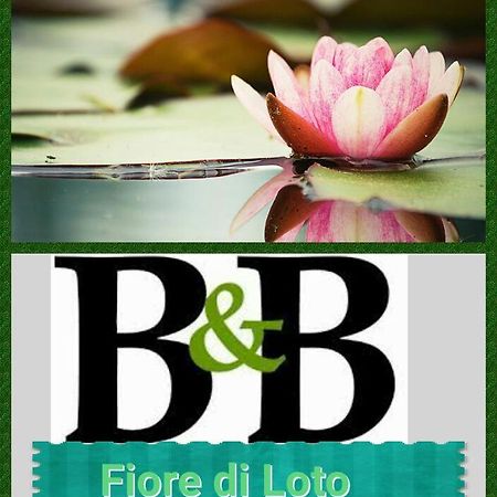 Fiore Di Loto リマートラ エクステリア 写真